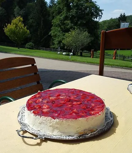 Kleins Wiese Guest house Schmallenberg